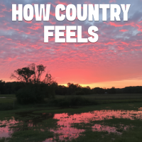 How Country Feels - Instrumental W/ Backing Vocals cover